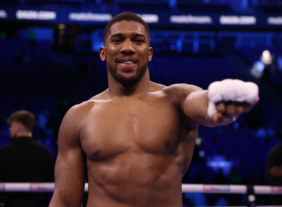 They're also want to book a grudge match between Anthony Joshua and Deontay Wilder