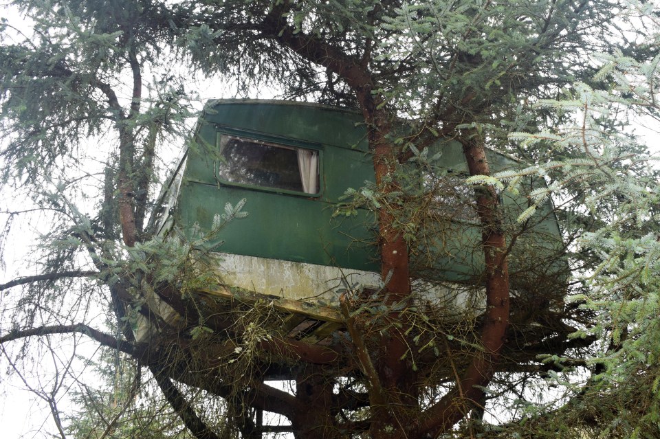 You can stay in a caravan - although its up a huge tree