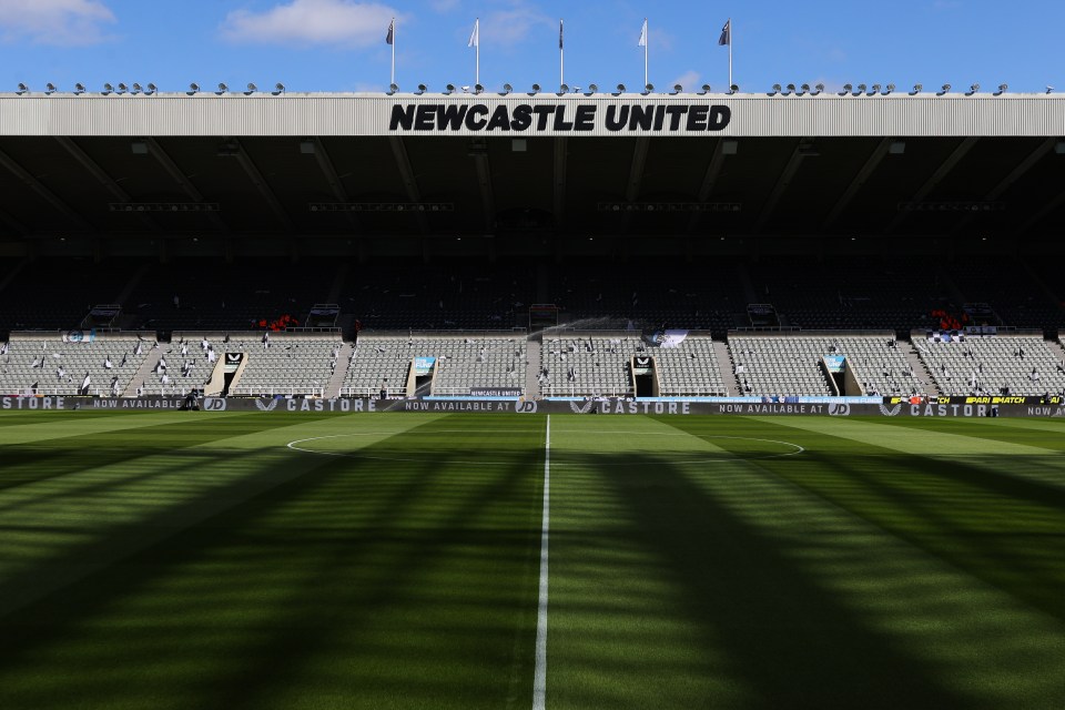 Betting tips for Newcastle vs Brighton: Premier League preview and best odds