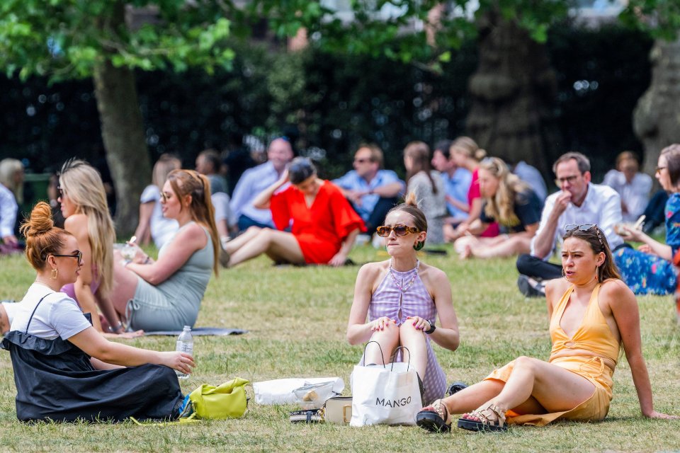 Pals enjoy the sunshine as they picnic in the park