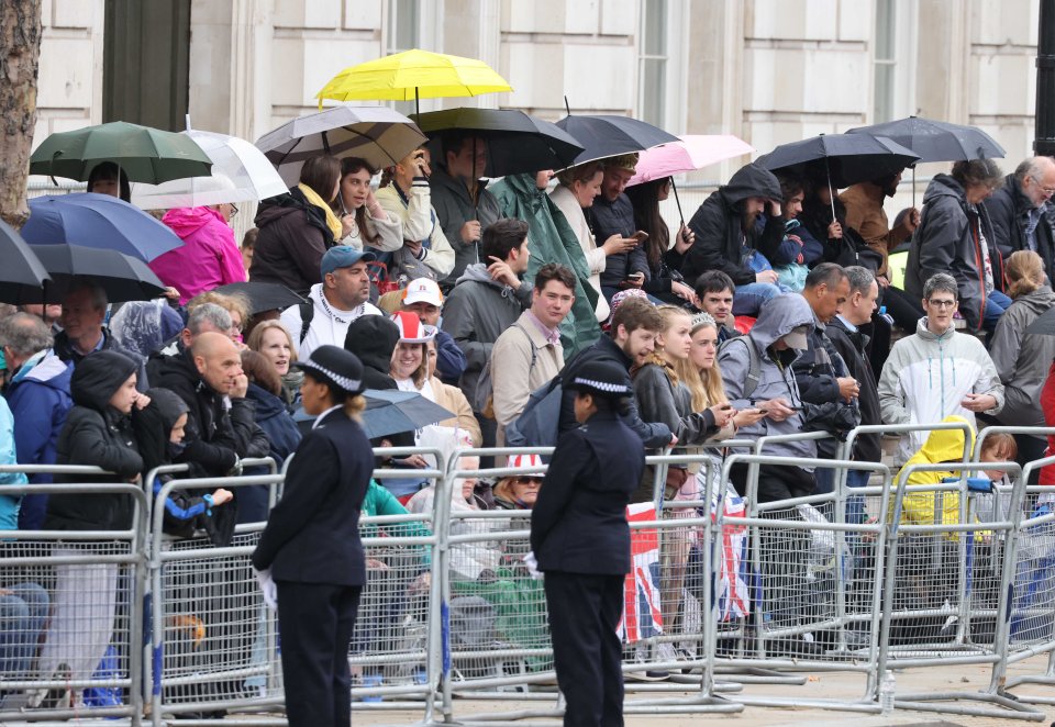 Showers in London didn't mar the celebrations in central London