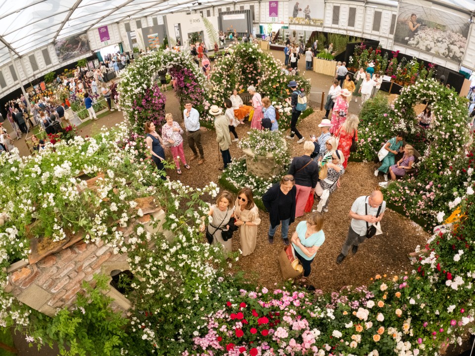 Gemma visited Chelsea Flower Show last week