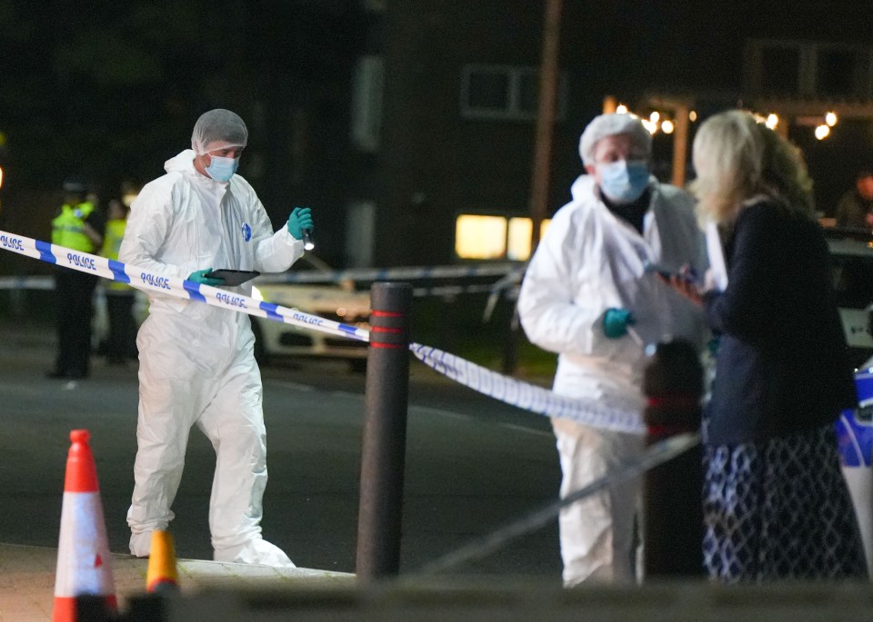 Forensic officers scouring the area for evidence after the tragic death