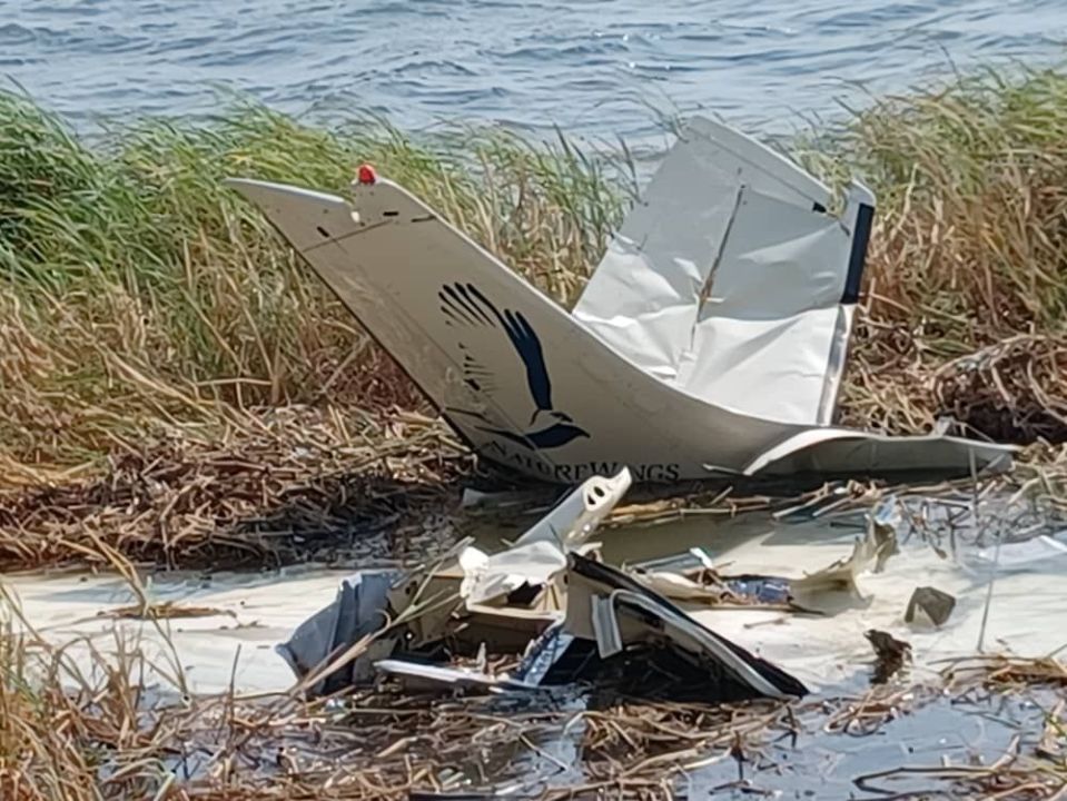 The Cessna 210 high-wing plane plummeted into the River Zambezi in August 2022