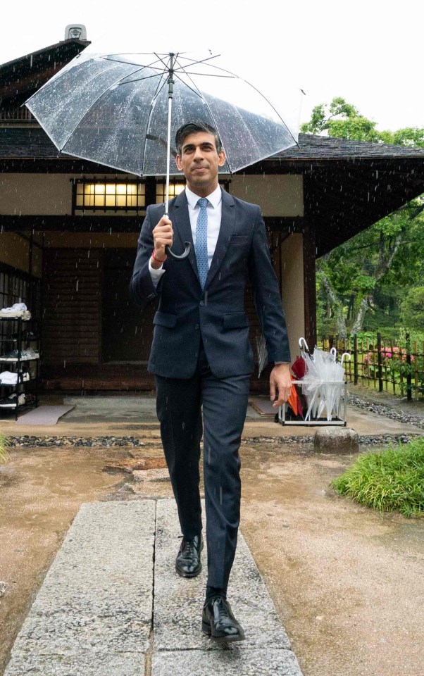 Speaking from Japan, Rishi Sunak gave his backing to Ben Wallace for his bid to become the next Nato chief