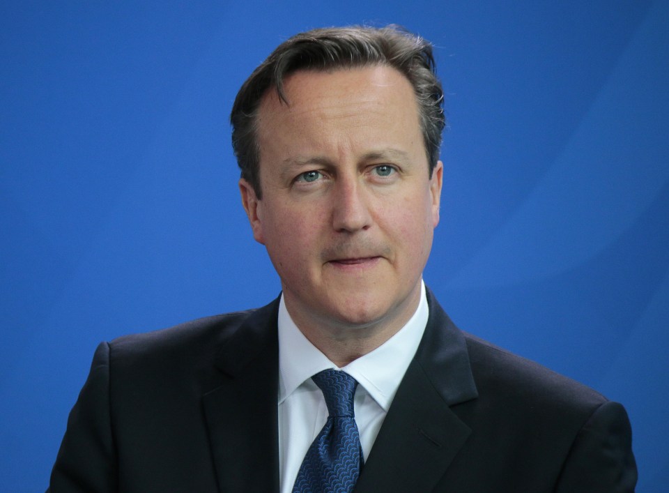 David Cameron highlighted Megan’s charity when he was Prime Minister