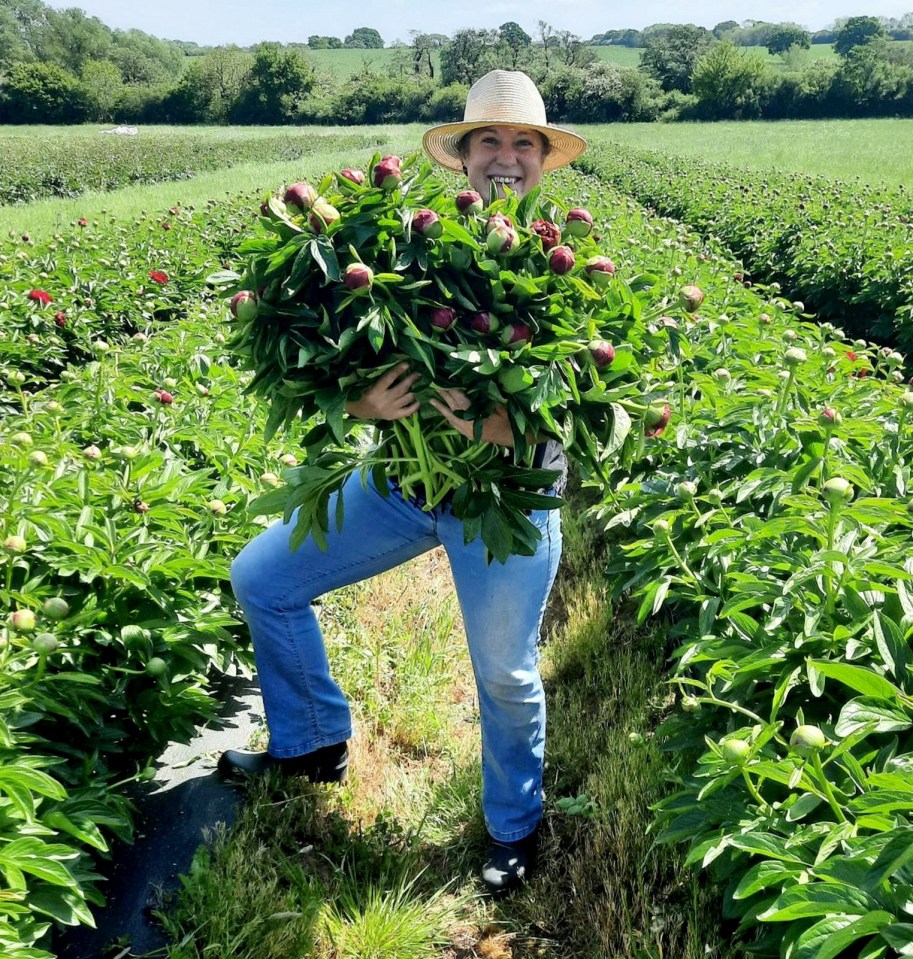 The former teacher farms peonies - bright flowers popular at weddings