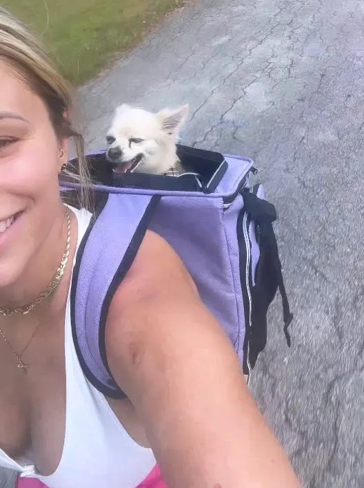 Paige VanZant headed out for a bike ride with dog Dennis in her backpack