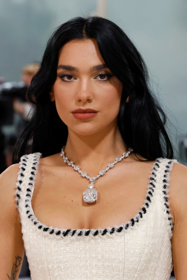 Dua Lipa has become a fashion designer and has teamed up with Donatella Versace