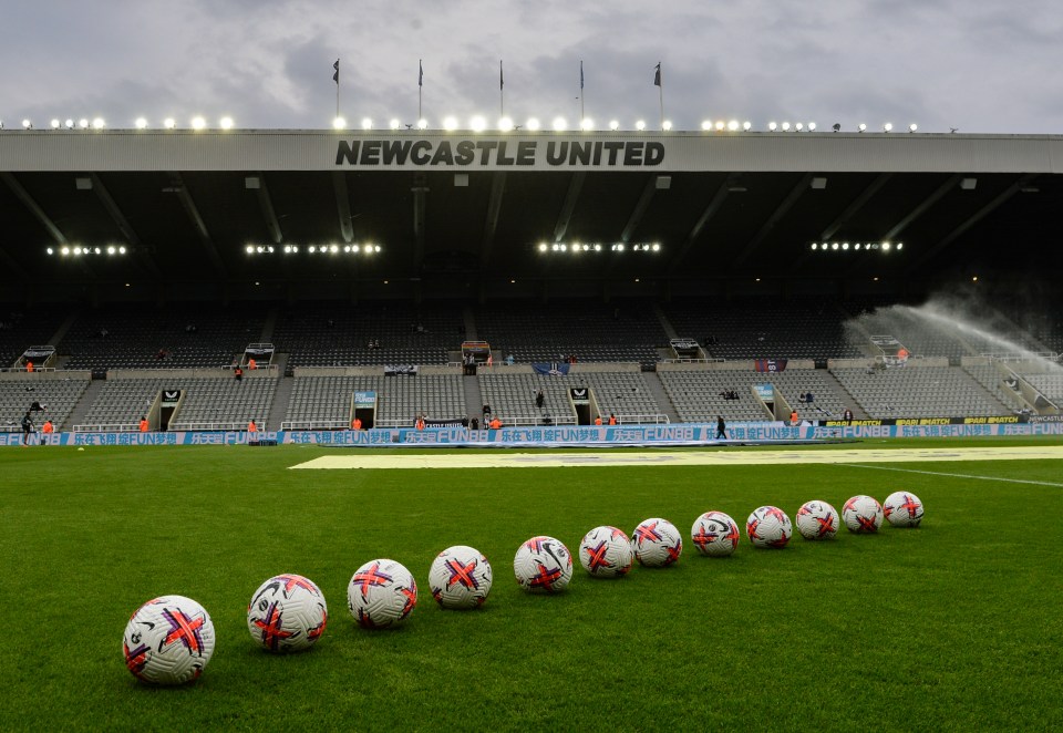 NEWCASTLE UPON TYNE, ENGLAND - MAY 18:  A general view before the Premier League match between Newcastle United and Brighton & Hove Albion at St. James Park on May 18, 2023 in Newcastle upon Tyne, England. (Photo by Serena Taylor/Newcastle United via Getty Images)