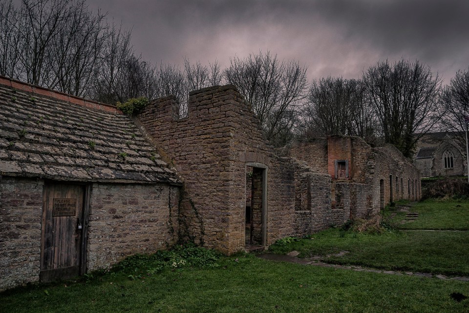 'Haunted' houses typically have a certain fungi friend in common