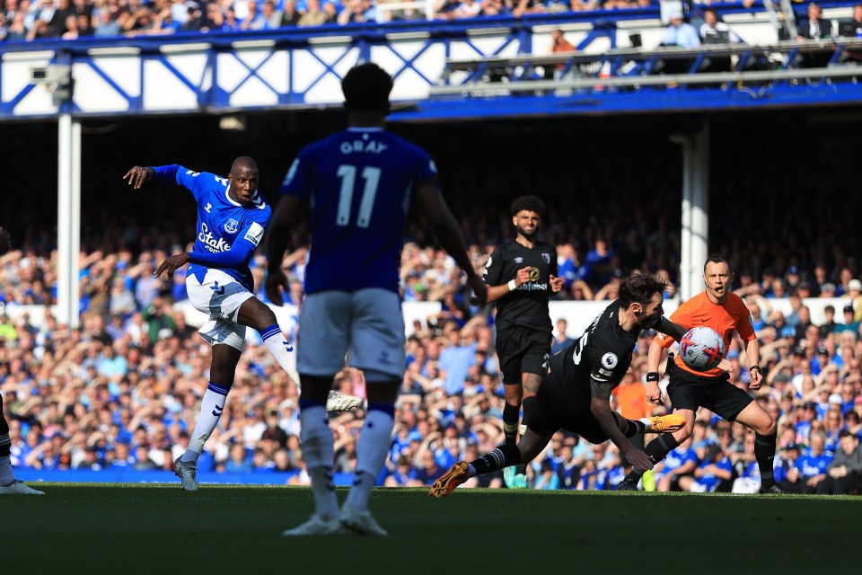 Abdoulaye Doucoure's stunning hit put Everton in front against Bournemouth