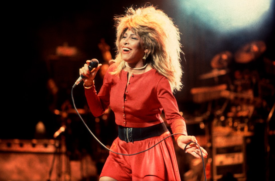 Tina Turner's My Love Story autobiography is up for grabs