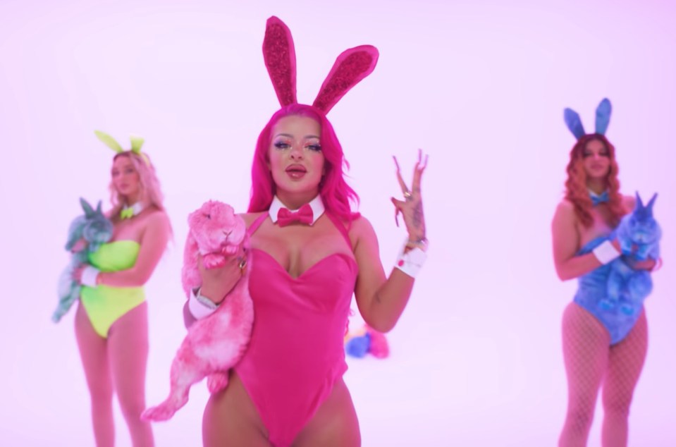 Her music video received backlash from PETA, but she apologised