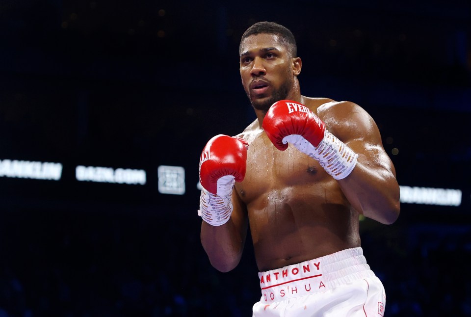 Anthony Joshua is in talks to fight Deontay Wilder