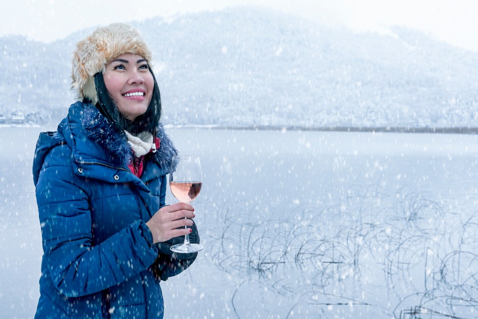 Covering your hair with a hat or scarf can help minimise the detrimental effects (file photo)