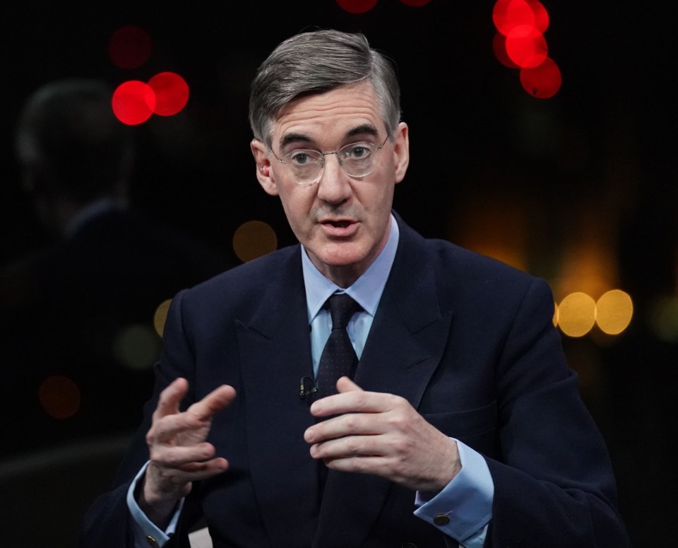 Jacob Rees-Mogg savaged 'idle' civil servants for scaling down plans to scrap EU laws