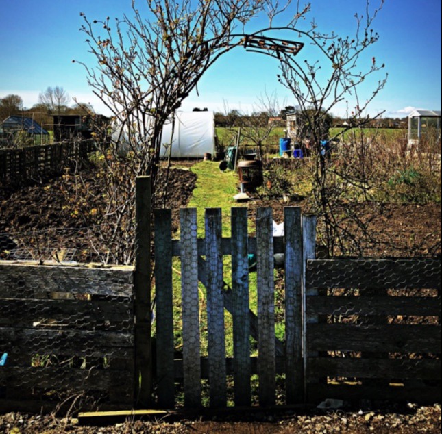 The real-life couple have their very own countryside home