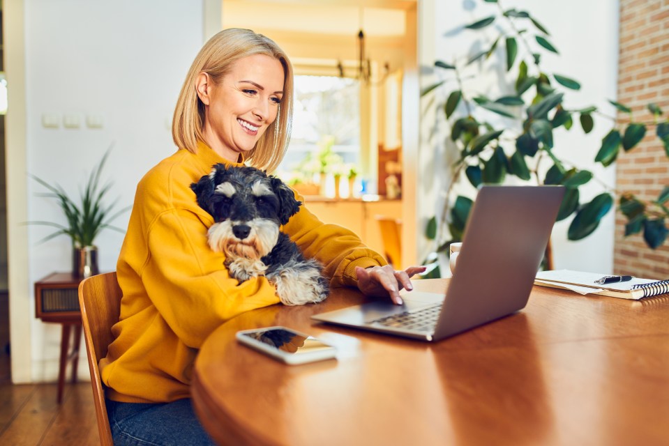 Offices are offering 'doggy daycare' to get workers back into the office