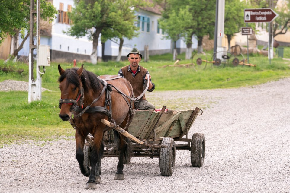 Entering the main street at Viscri is like stepping into the 1700s, as gypsy horses and carts rattle along the shingle track