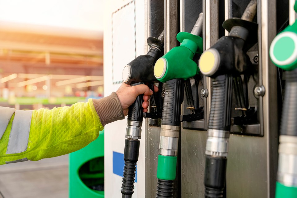 Most cars and trucks on the road today run on petrol containing up to 10 per cent ethanol