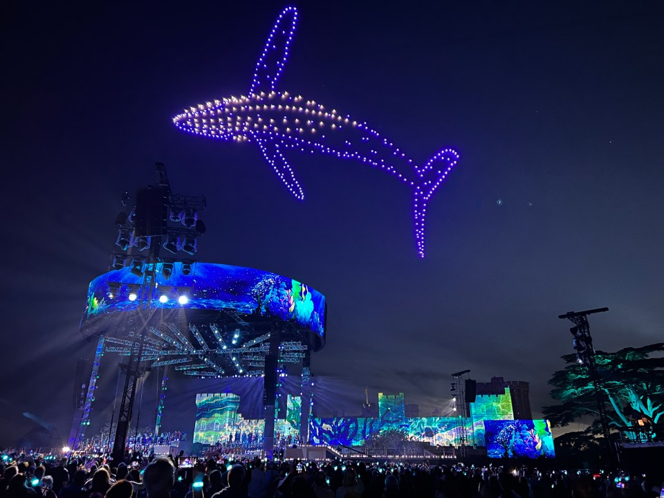 A dazzling display of drones formed a large whale which had the crowd gasping