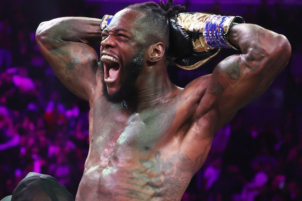 Deontay Wilder was arrested by LA police after a 'gun was found in his car'