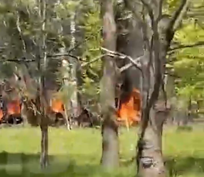 The burning remains of the jet in a forest near Klintsky