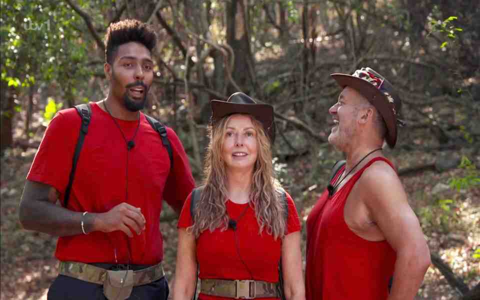 Jordan Banjo, Carol Vorderman and Paul Burrell are battling it out to win the show