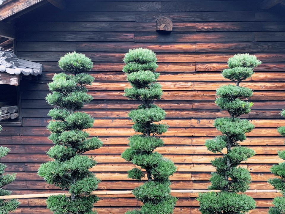 Sho Sugi Ban is a traditional Japanese method of wood preservation