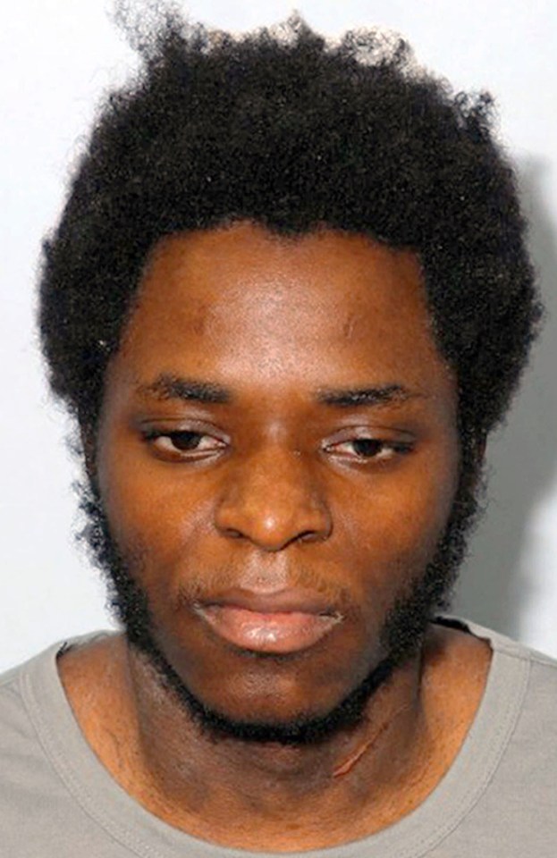 Adebowale, 22 when he killed Lee, is serving a 45-year prison sentence and was said to have been heavily influenced by the more forceful Adebolajo