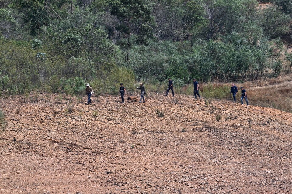 Police searching through the undergrowth during the new hunt for Maddie