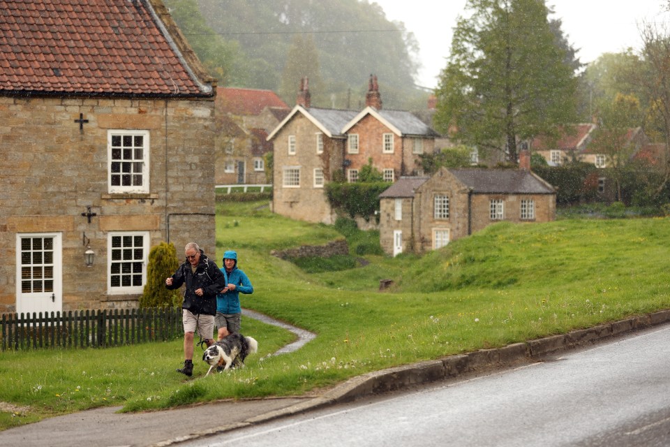 Dog walkers enjoying the scenery