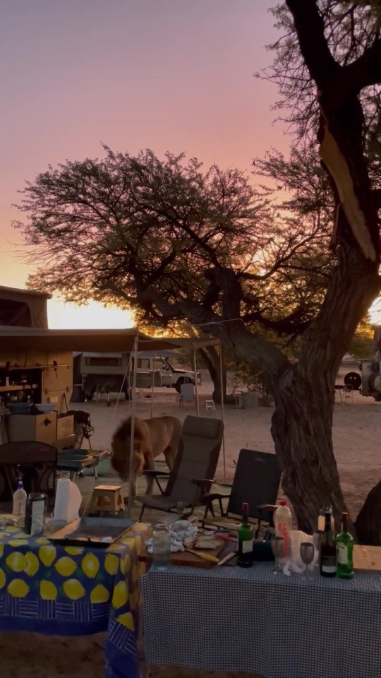 The sighting was recorded at a natural reserve in Kgalagadi in Botswana