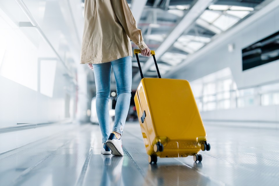 Baggage fees can add an unwelcome added cost to passengers looking forward to their holidays