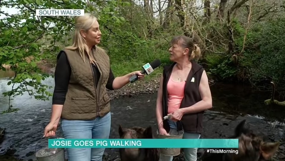 Josie made a lighthearted jibe over the drama between Holly Willoughby and Philip Schofield as she cheekily named a pig after her co-star when she visited a nature reserve