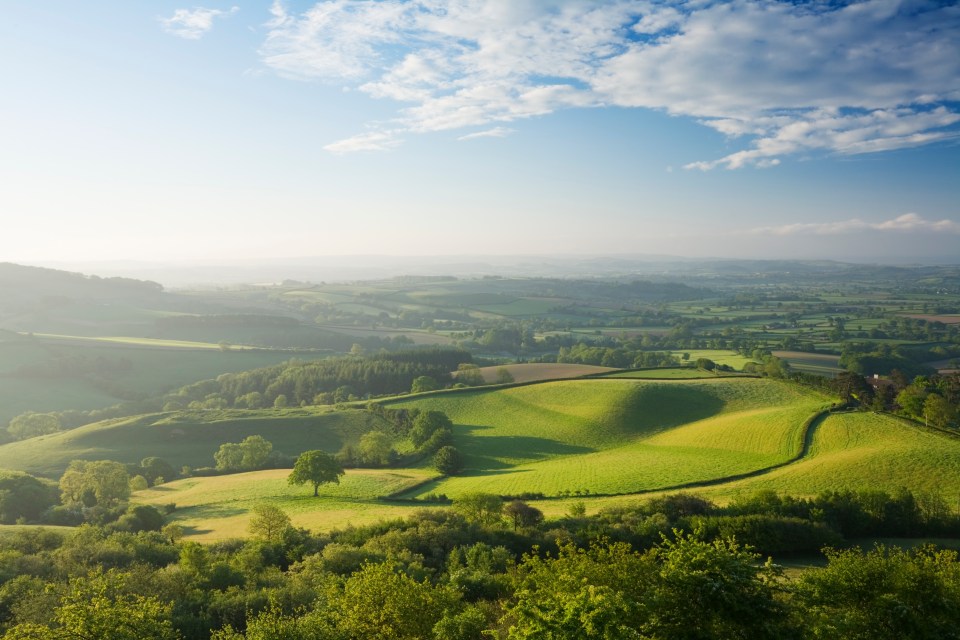 Labour could build on green belt to boost housing