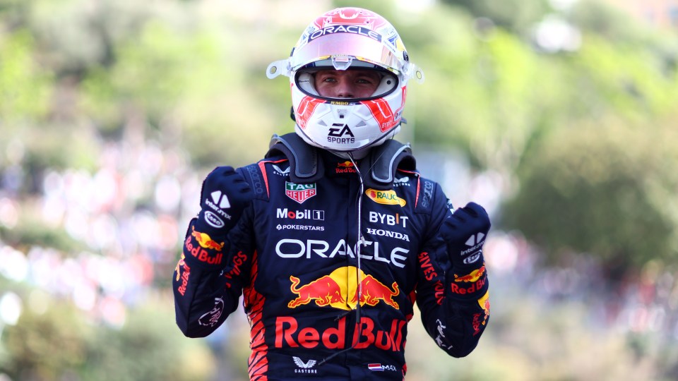 Max Verstappen pulled off arguably one of the best laps of his career to grab pole