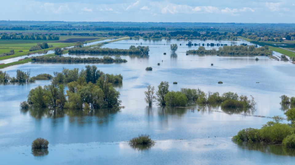 The River Great Ouse burst its banks in Cambridgeshire today leaving the fields around Earith underwater