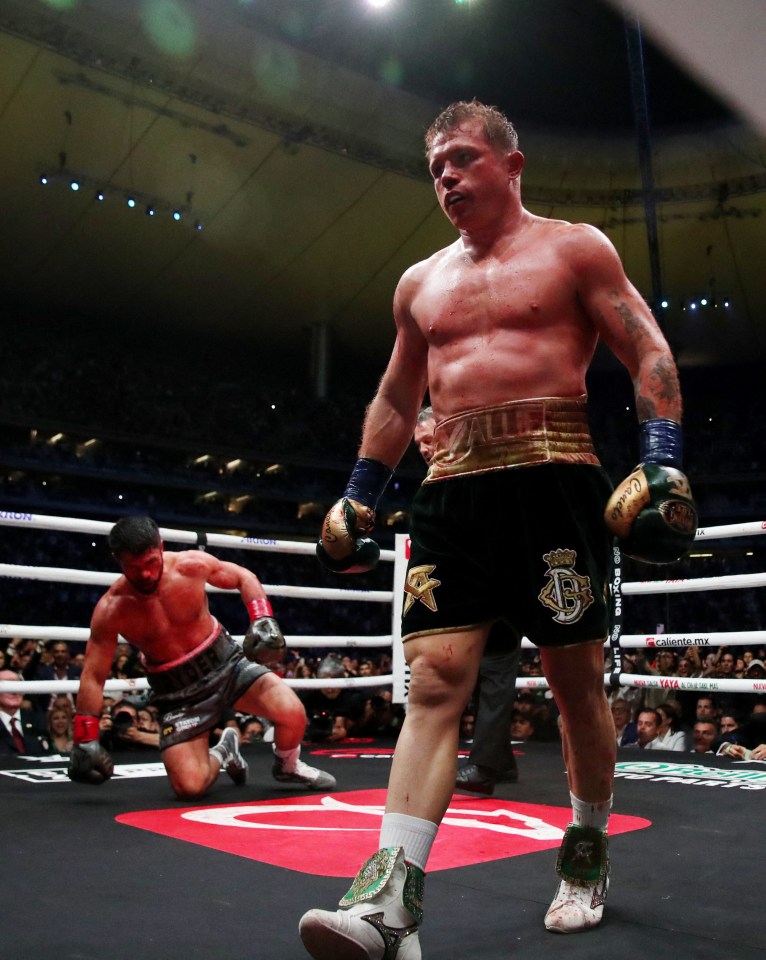 The Brit was floored in the fifth round in front of a raucous crowd