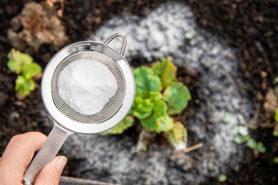 Here are four little-known ways to put bicarbonate of soda to work and save some cash