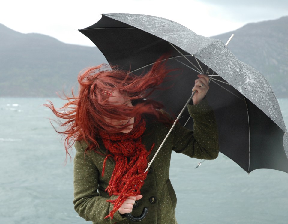 Wind and rain can have an adverse affect on the condition of your hair (file photo)