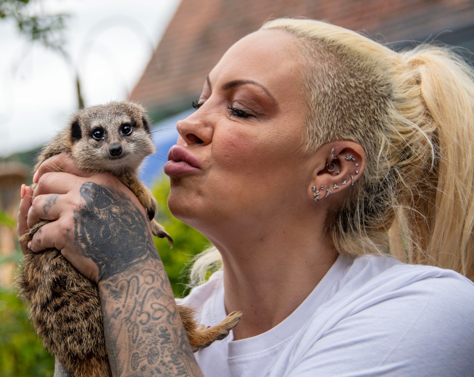 Jodie introduces us to Mabel the meerkat