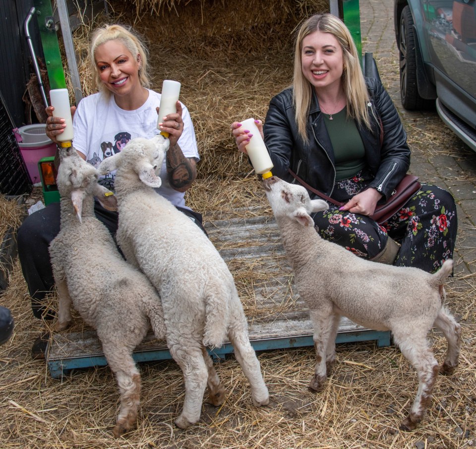 We bottle fed Jodie's lambs on the farm