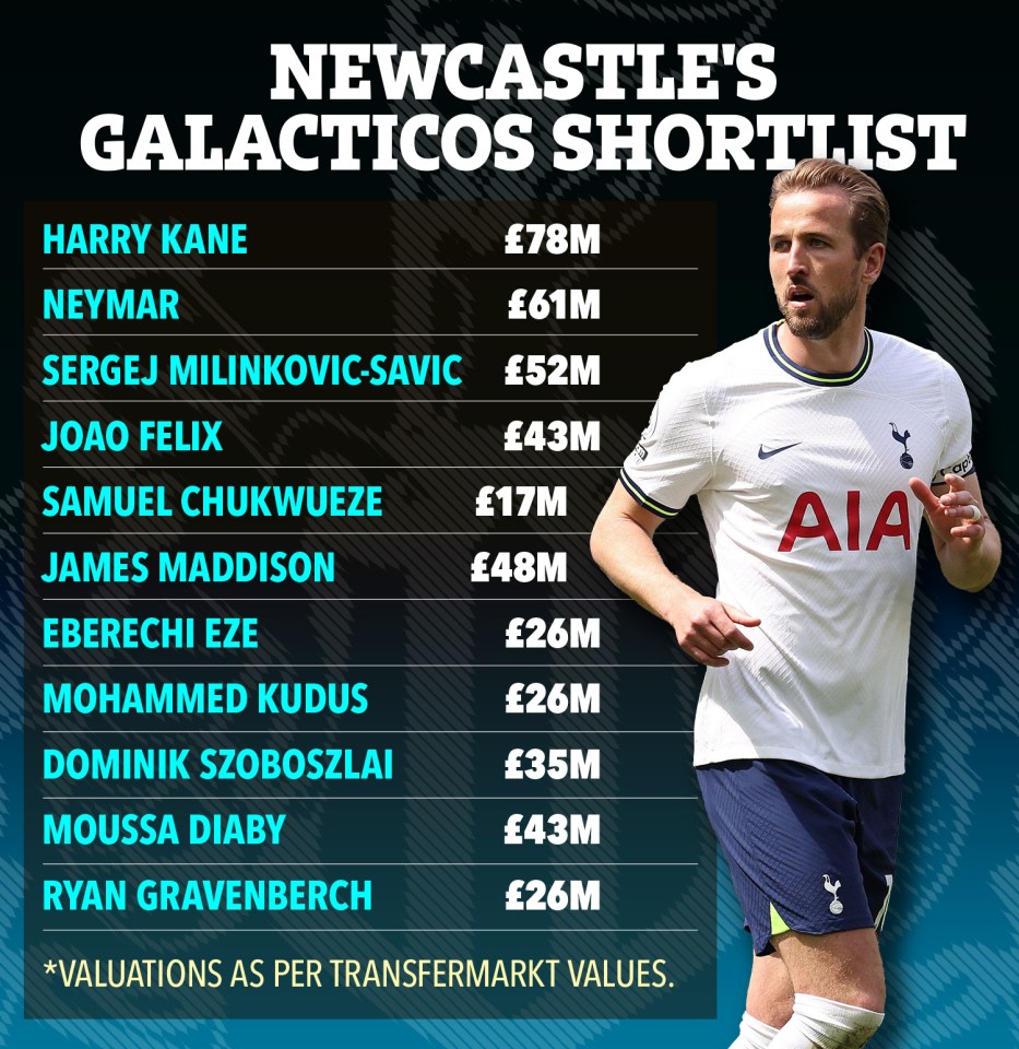 Newcastle reportedly have their eye on some very expensive players