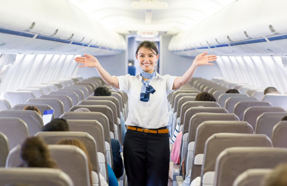 A flight attendant has explained why air con is so important on planes