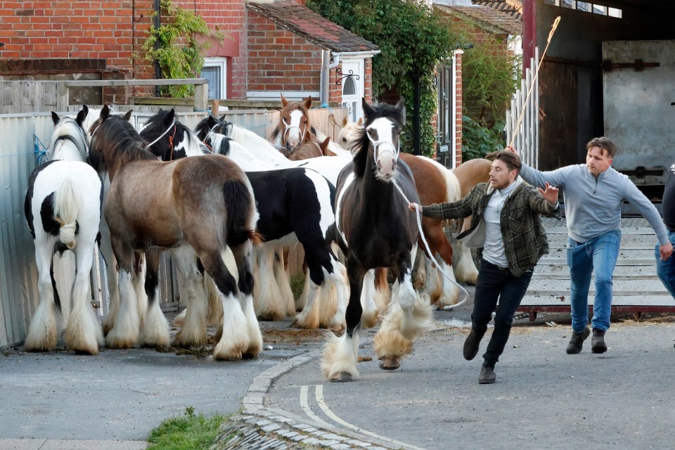 Wickham Horse Fair gets underway in Hampshire