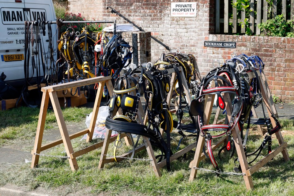 Wickham Horse Fair attracts thousands of members of the Gypsy, Roma and Traveller communities