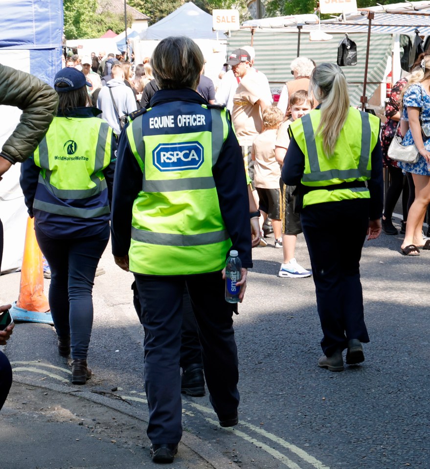 Animal welfare officers patrolling the streets