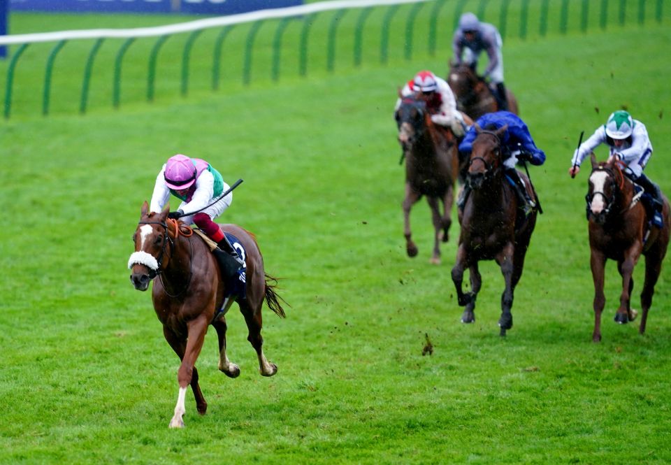 The 2000 Guineas winner Chaldean has been retired to stud